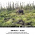 SpyPoint Force-Pro Trail Camera - Camo